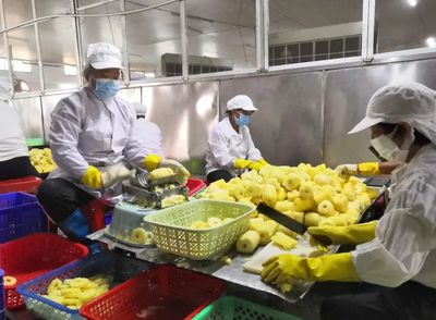 【乡村振兴】博白县旺维食品加工厂:罐头出口生产忙 村民就业有保障